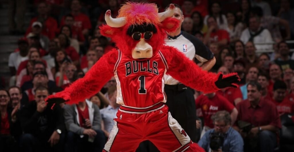 Chicago Bulls Costume